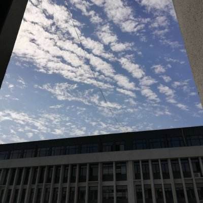 和平精英日韩版下载